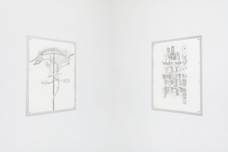 Installation view, Images, Gene's Dispensary · 2025 (2)
