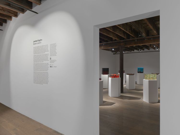 Installation view, Jordan Eagles: Bases Loaded, Pioneer Works · 2026 (7)