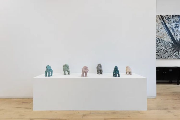 Installation view, Whims of Panspermia, DIMIN · 2026 (1)