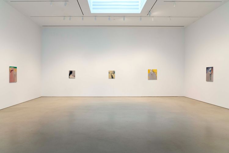 Installation view, Premonitions, Petzel Gallery · 2025 (4)
