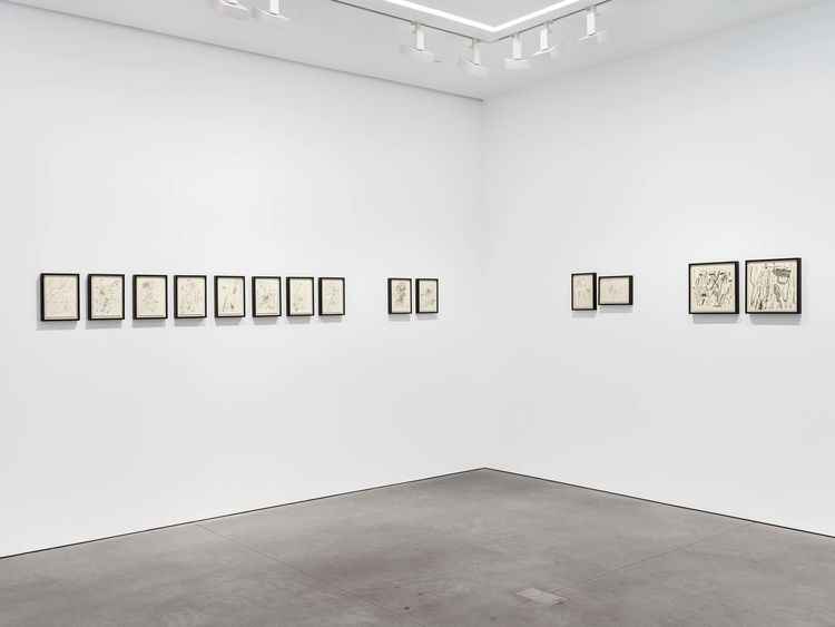 Installation view, Our Days, Like a Shadow (a non-abiding hauntology), Marian Goodman, New York · 2026 (7)