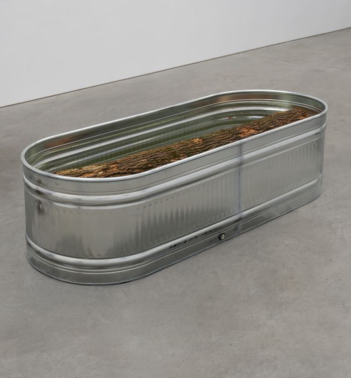 Installation view, I Am Gravity, Karma, 188 East 2nd Street · 2026 (16)
