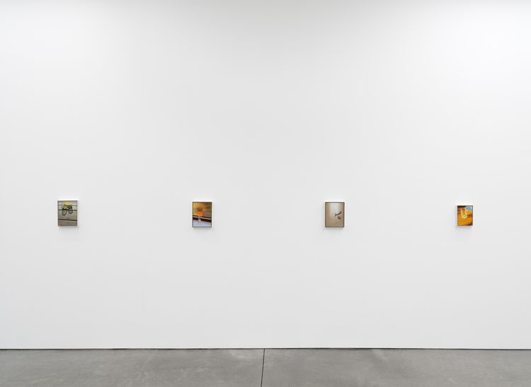 Installation view, Dike Blair, Karma, 549 West 26th Street · 2026 (2)