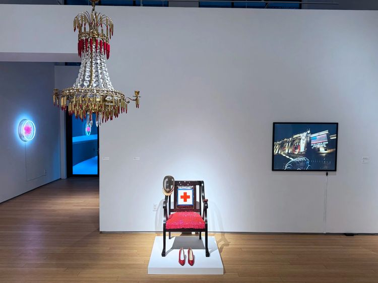 Installation view, Projecting Democracy, Nancy Hoffman · 2026 (2)