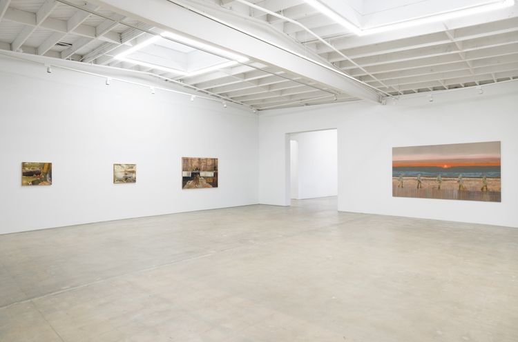 Installation view, Bloodstream, Karma Gallery · 2026 (1)