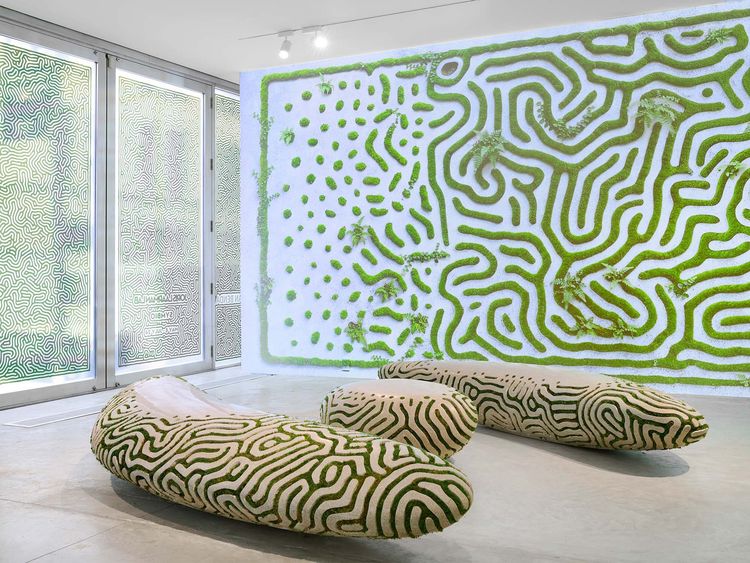 Installation view, SYMBIO, Friedman Benda · 2026 (1)