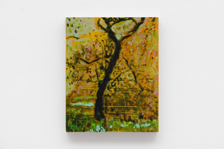 Installation view, John Maclean, Margot Samel · 2026 (12)