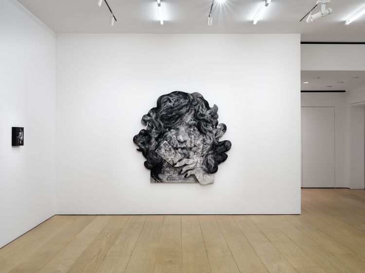 Installation view, Anna Park: House Rules, Lehmann Maupin, New York, 2026