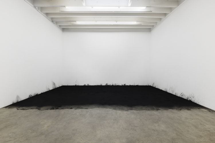 Installation view, I Am Gravity, Karma, 188 East 2nd Street · 2026 (5)