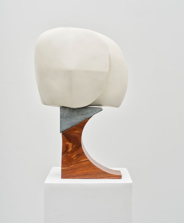 Installation view, Field Agents, New Discretions · 2026 (14)