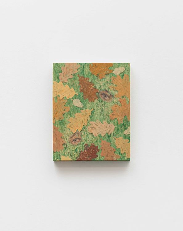Installation view, The First Garden, Amphi Gallery