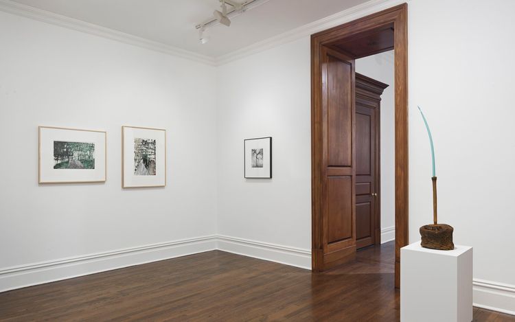 Installation view, Atropa, Sprüth Magers, New York · 2026 (8)
