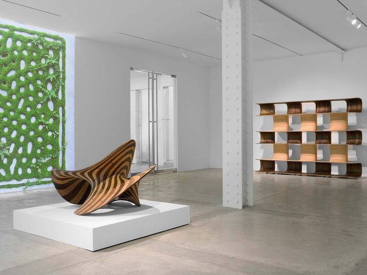 Installation view, SYMBIO, Friedman Benda · 2026 (3)