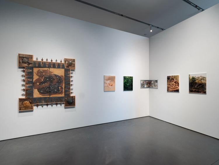 Installation view, Fade, Studio Museum Harlem · 2026 (5)