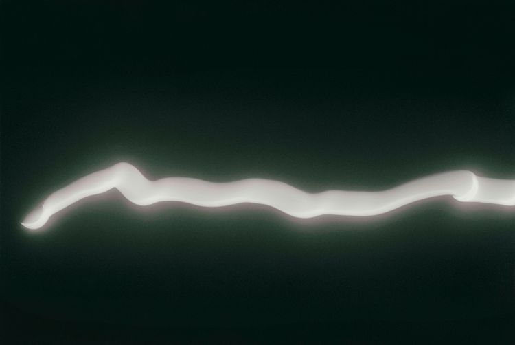 Installation view, Eclipse Drawings, Gemini G.E.L., LA · 2026 (17)