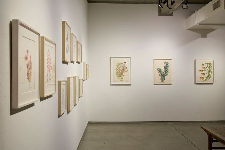 Installation view, Collaging the Visionary, Cavin Morris · 2026 (3)