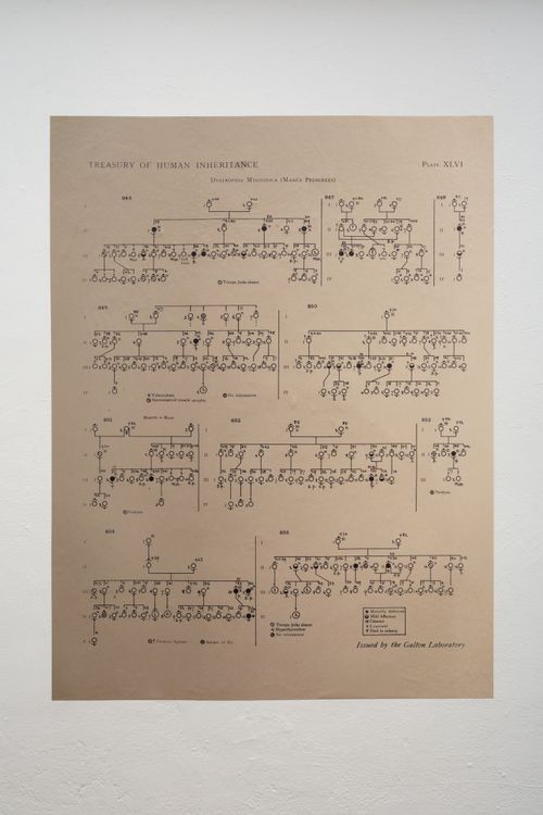 Installation view, The Goal of Our Health, Joan · 2025 (14)
