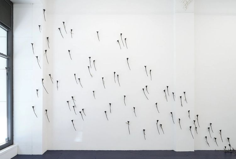 Installation view, What Was Left of Me Bloomed , Silke Lindner · 2026 (1)