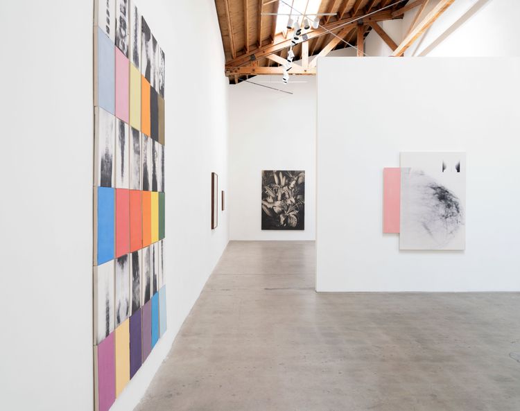 Installation view, x-ray island, Moskowitz Bayse · 2026 (7)
