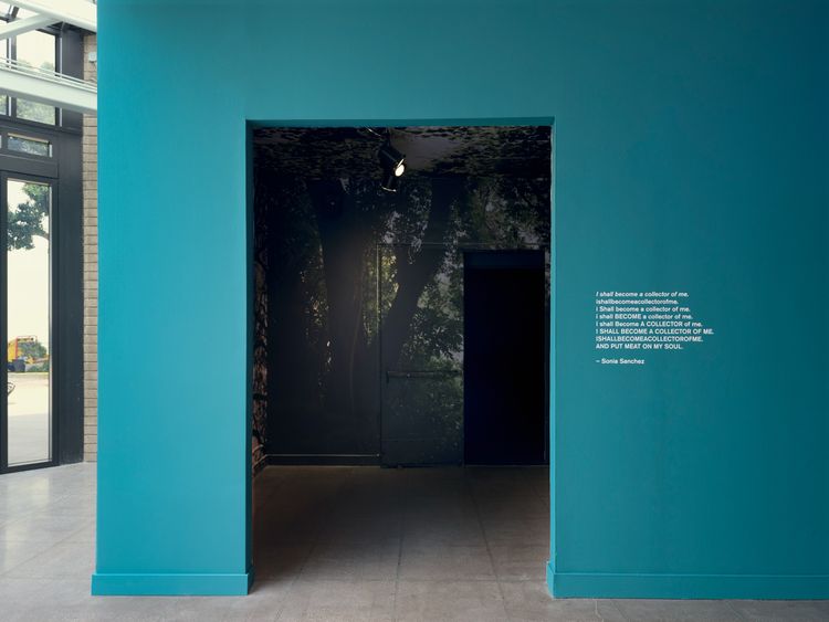 Installation view, Sometimes I Feel Like I Am Almost Home, California African American Museum · 2025 (3)