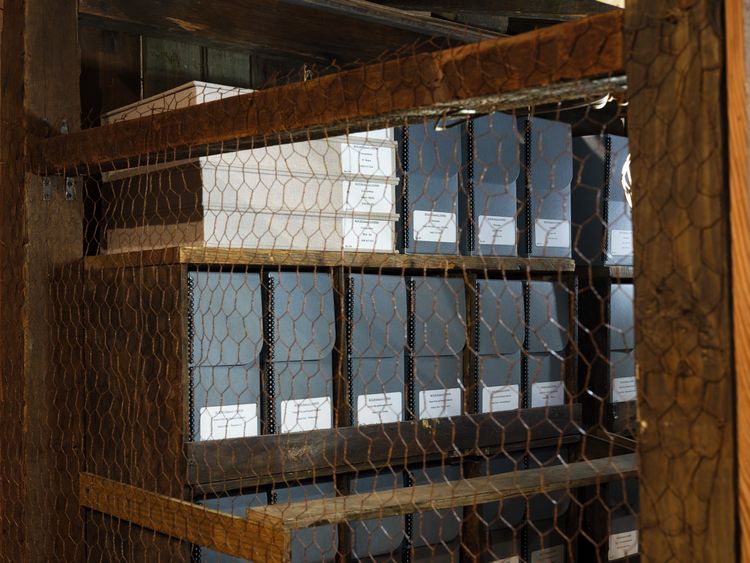 Installation view, Shaper of God: Apple Valley Autonomy, California African American Museum · 2025 (7)