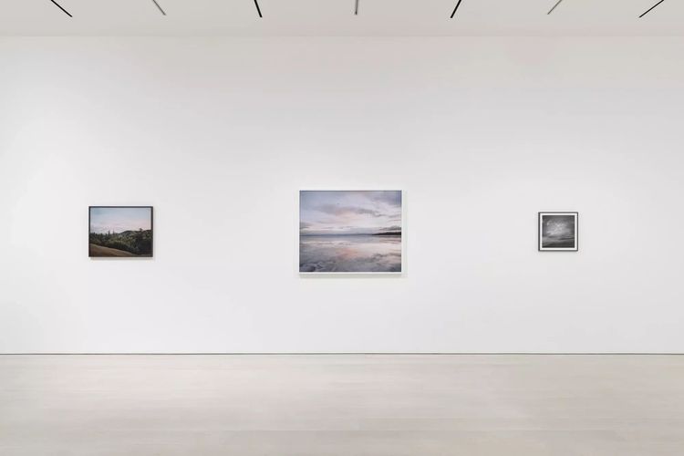 Installation view, Cardinals, Pace · 2025 (10)
