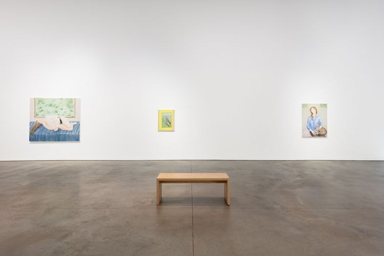 Installation view, Land animal, house animal, 303 Gallery
