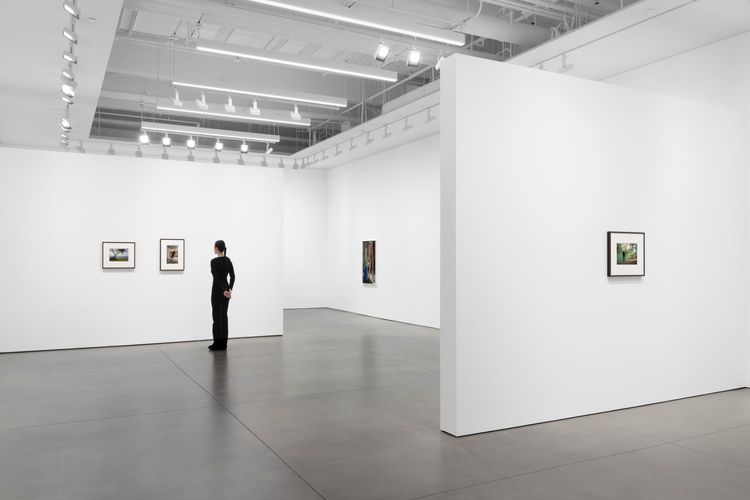 Installation view, Bones in the Canal and Other Photographs, David Kordansky Gallery, Chelsea · 2026 (13)