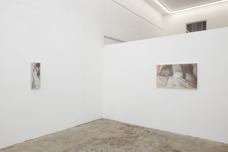 Installation view, Reading in Bed, Ehrlich Steinberg · 2025 (4)