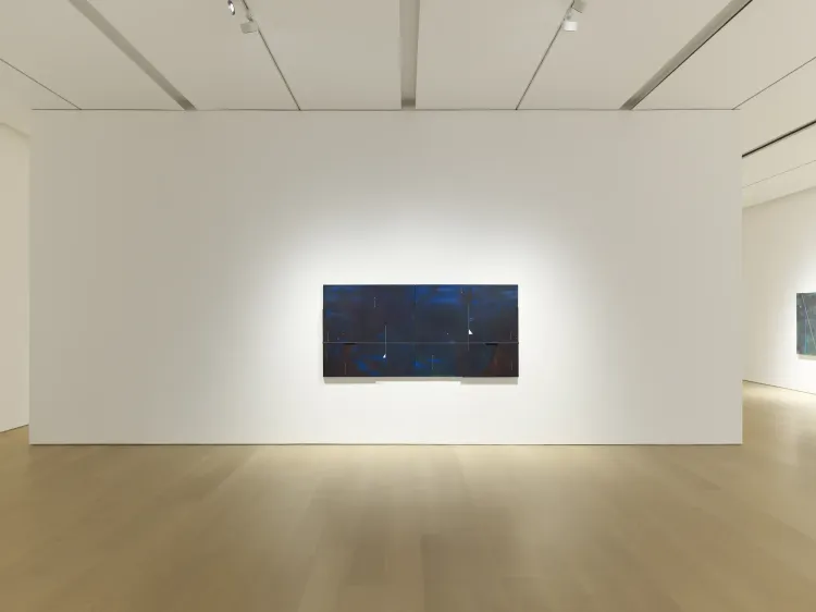 Installation view, Seeing in Blue, PACE · 2026 (1)