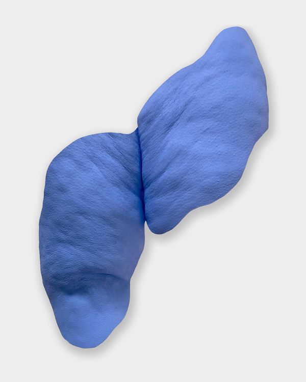 Installation view, Sarsabzi سرسبزی, Hannah Traore Gallery · 2025 (7)