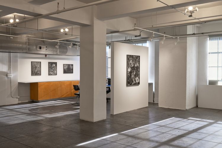 Installation view, Low Tide, Gallery Luisotti · 2026 (8)