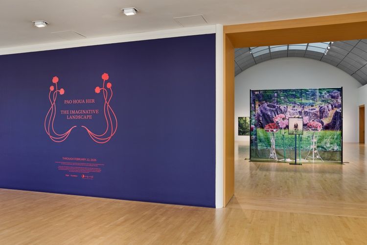 Installation view, The Imaginative Landscape, San Jose Museum of Art · 2025 (7)