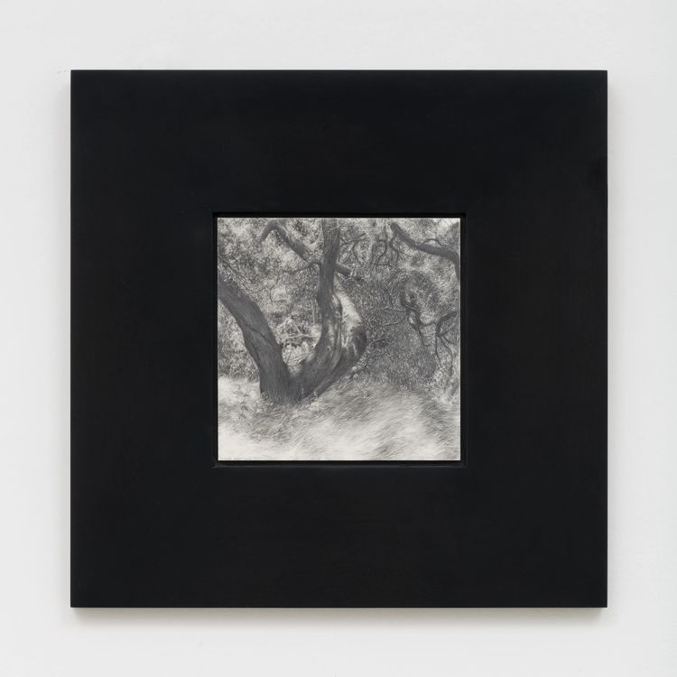 Installation view, Happy Trails, Anat Ebgi, Los Angeles