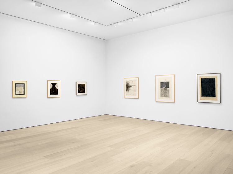 Installation view, Copy/Trace, David Zwirner, 537 West 20th Street · 2026 (9)