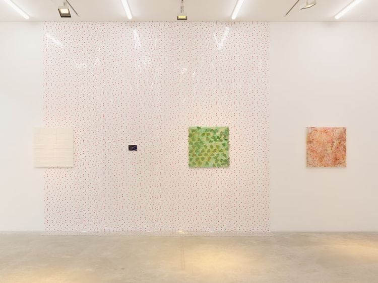 Installation view, Facial, Amant · 2025 (11)