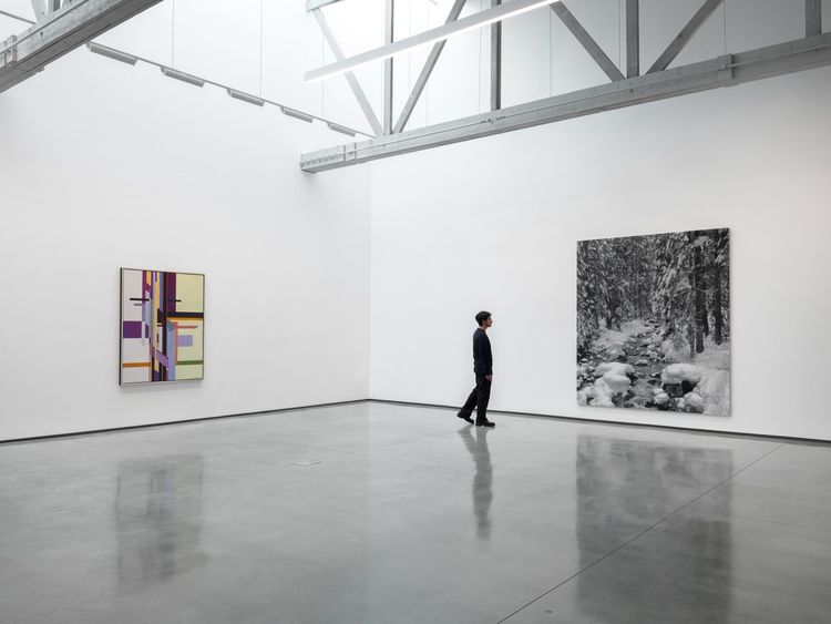 Installation view, Hopes and Fears, David Kordansky Gallery · 2026 (2)