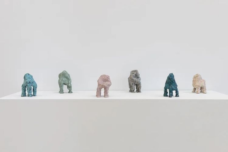 Installation view, Whims of Panspermia, DIMIN · 2026 (2)