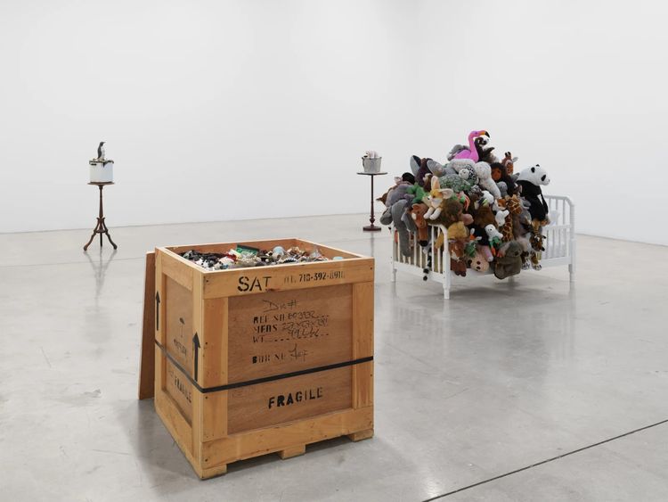 Installation view, Mark Dion, Tanya Bonakdar Gallery, New York · 2026 (2)