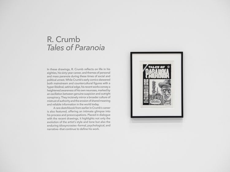 Installation view, Tales of Paranoia, David Zwirner, 616 Western Ave · 2025 (13)