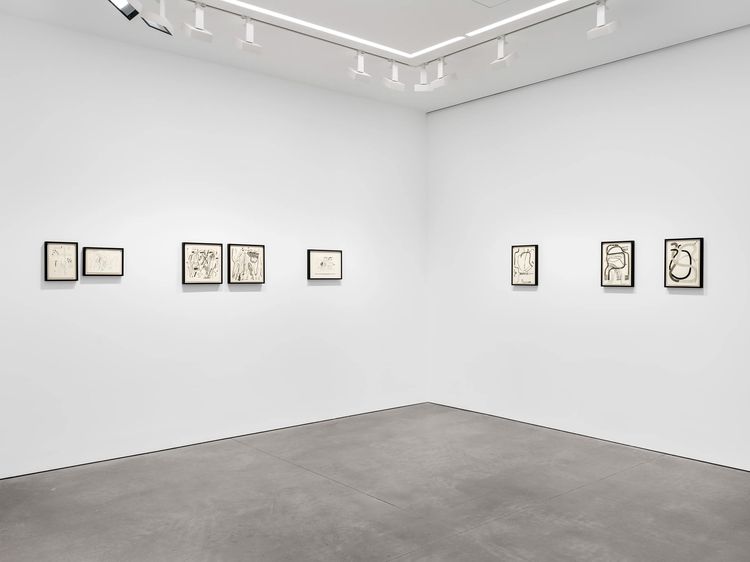Installation view, Our Days, Like a Shadow (a non-abiding hauntology), Marian Goodman, New York · 2026 (6)