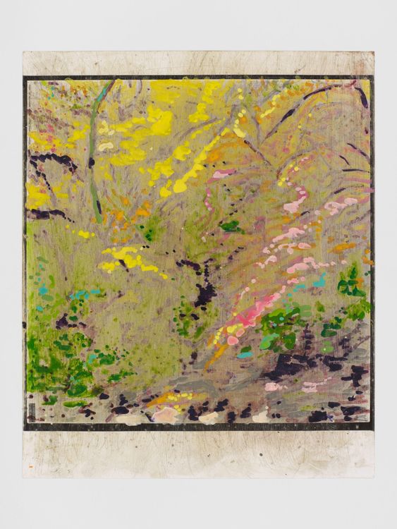 Installation view, John Maclean, Margot Samel · 2026 (16)