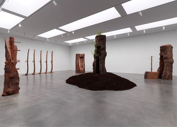 Installation view, The Reflection of Bronze, Gagosian, 555 24th Street · 2026 (4)