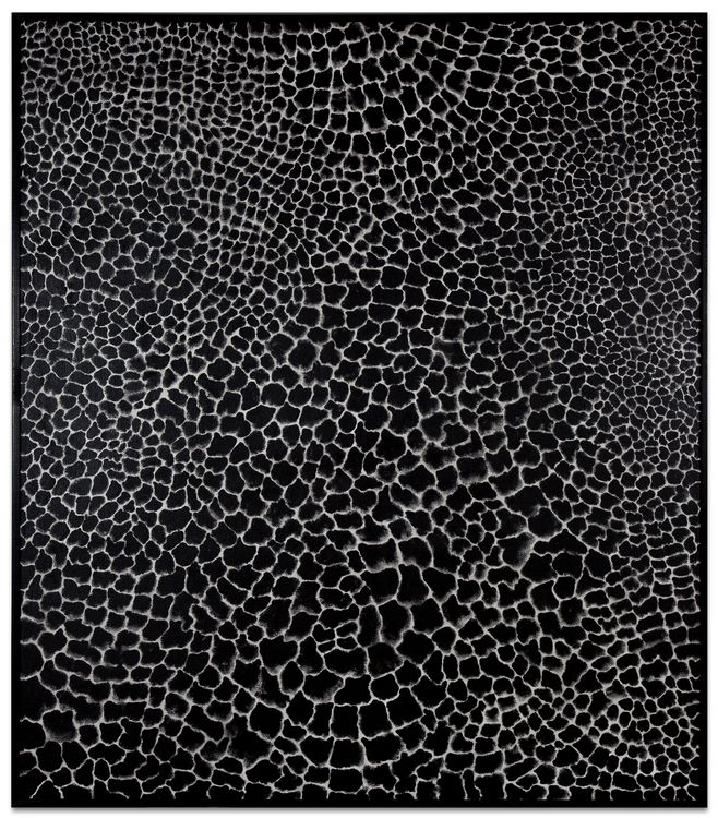 Installation view, Inkblot & Felt Tip Pen Drawings, Michael Kohn Gallery · 2026 (7)