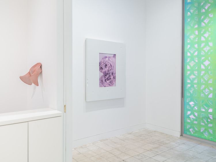 Installation view, Beast in Both Palms, Gladstone Gallery, 130 E 64th Street · 2026 (4)