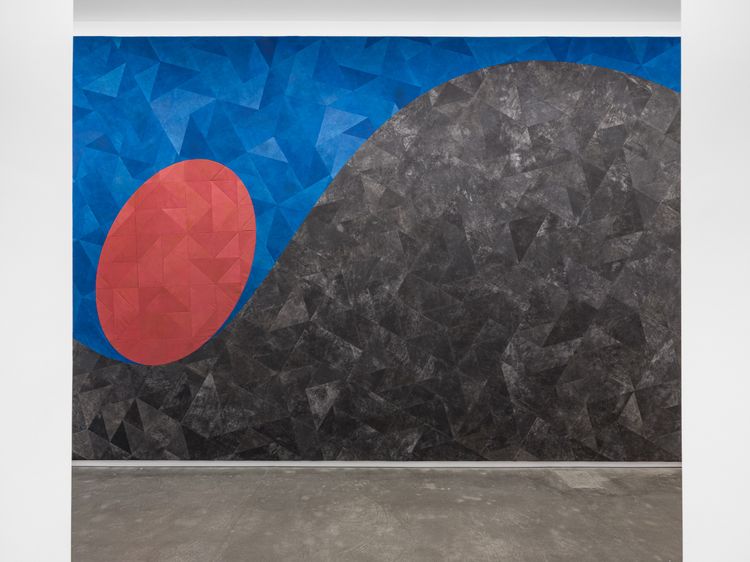 Installation view, Kapwani Kiwanga: BLEED, Studio Museum Harlem · 2026 (2)