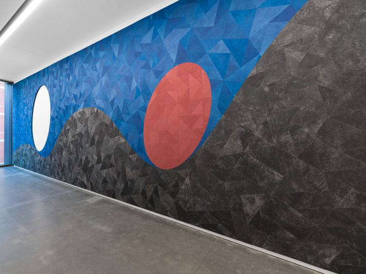 Installation view, Kapwani Kiwanga: BLEED, Studio Museum Harlem · 2026 (1)