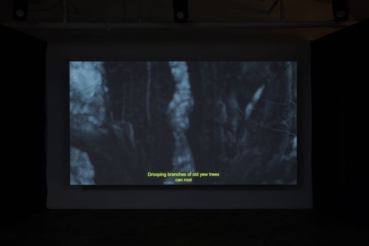 Installation view, The Goal of Our Health, Joan · 2025 (7)