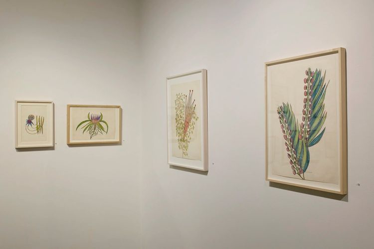 Installation view, Collaging the Visionary, Cavin Morris · 2026 (14)