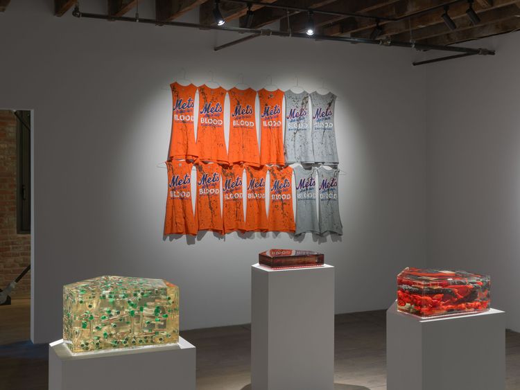 Installation view, Jordan Eagles: Bases Loaded, Pioneer Works · 2026 (9)